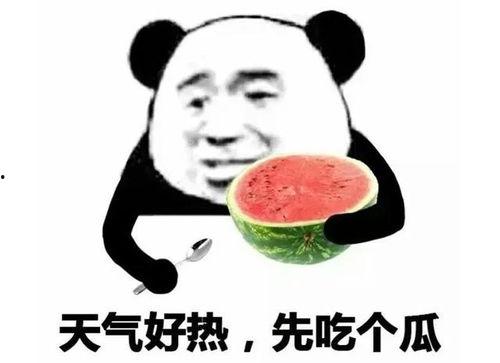 吃瓜娱乐间可爱表情包